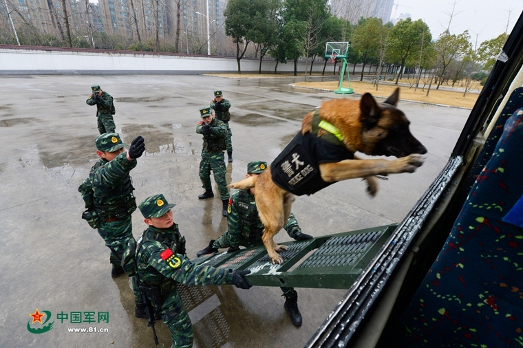 一个青苹果大概有多少克